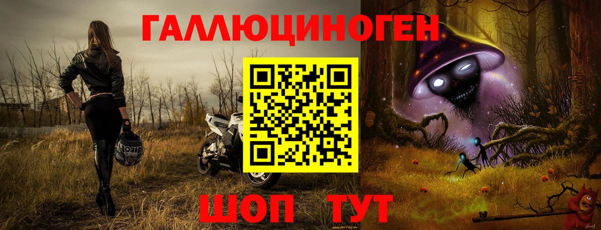 Псилоцибиновые грибы Magic Shrooms Вятские Поляны