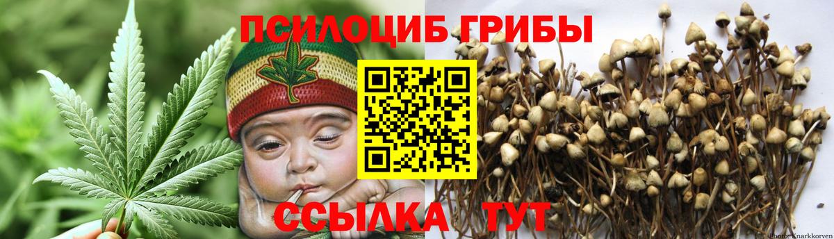 Галлюциногенные грибы мицелий  Вход с VPN  Вятские Поляны 